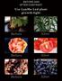 Imagem de Led Grow 80w Bivolt E27 Full Spectrum Fotossíntese Crescimento Plantas Cultivo Estufa