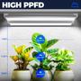 Imagem de LED Grow Light Barrina 2FT 144W 5000K Full Spectrum, pacote com 6