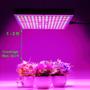 Imagem de LED Grow Light i-Venoya 75W de espectro completo para plantas de interior