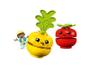 Imagem de LEGO Duplo - Trator de Verduras e Frutas - 19 Peças - 10982