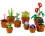 Imagem de LEGO Icons - Plantinhas - Botanical Collection - 758 Peças - 10329