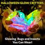 Imagem de Lembrancinhas de festa Glow Sticks, Glow Critters, Halloween, 60 unidades