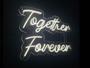 Imagem de Letreiro Neon Led Together Forever 65x45cm