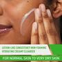 Imagem de Limpador Facial CeraVe Hidratante 473ml com Ácido Hialurônico