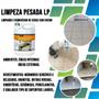 Imagem de Limpeza Pesada Lp 5l Pisoclean Removedor De Cera Porcelanato