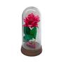 Imagem de Linda Redoma com Rosa Pink A Rosa Encantada do filme a A Bela e A Fera Presente dia dos namorados