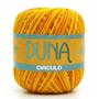 Imagem de Linha Duna Círculo Mescla 100g