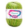 Imagem de Linha Fio Charme Circulo  396m/150g para Croche