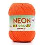Imagem de Linha Neon Verão - Círculo