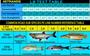 Imagem de Linha Pesca JOF Japonesa Multifilamento 4X 0,28mm 35lbs Carretel 300mts Multicolor