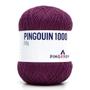 Imagem de Linha Pingouin 1000 Verão 150g - 2