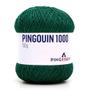 Imagem de Linha Pingouin 1000 Verão 150g - 2