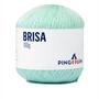 Imagem de Linha Pingouin Brisa para Crochê e Macramê 100% Acrílico com 100g