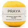 Imagem de Linha Praya 100g - Fio com Elasticidade