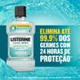 Imagem de Listerine Antisséptico Bucal 500ml Diversos