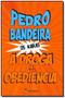 Imagem de Livro A Droga da Obediência  - Pedro Bandeira