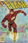 Imagem de Livro - A Saga do Flash 06