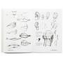 Imagem de Livro Anatomia Artística 2 - Como Desenhar o Corpo Humano de Forma Esquemática