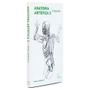 Imagem de Livro Anatomia Artística 3 - O Esqueleto