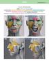 Imagem de Livro Anatomia da Expressão Facial, 1ª Edição 2021 - Anatomy4sculptors