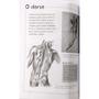 Imagem de Livro Aprenda a Desenhar : Corpo Humano - Animais - Flores - EDITORA