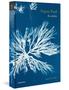 Imagem de Livro - As ondas (Capa Dura)