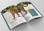 Livro - Biblioteca Mundo Animal - Box com 3 Livros Imagem de Livro - Biblioteca Mundo Animal - Box com 3 Livros