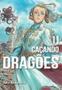 Imagem de Livro - Caçando Dragões Vol. 11