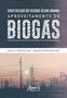 Imagem de Livro - Caracterização dos resíduos sólidos urbanos: aproveitamento do biogás