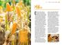 Imagem de Livro - Coleção Histórias Curiosas dos Vegetais: Cereais