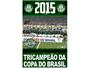 Imagem de Livro Coleção Oficial Histórica Palmeiras Edição 20 Pôster Copa do Brasil 2015