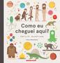 Imagem de Livro - Como eu cheguei aqui?