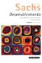 Imagem de Livro - Desenvolvimento includente, sustentável e sustentado