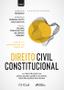 Imagem de Livro - DIREITO CIVIL CONSTITUCIONAL - 1ª ED - 2022