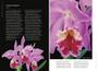 Imagem de Livro - Enciclopédia das Orquídeas - Volume 4