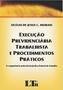 Imagem de Livro - Execução previdenciária trabalhista e procedimentos práticos - LTr Editora