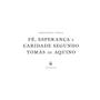 Imagem de Livro Fé, Esperança e Caridade Segundo Tomás de Aquino - Bernardo Veiga