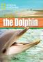 Imagem de Livro - Footprint Reading Library - Level 4 1600 B1 - Cupid The Dolphin