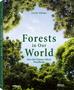 Imagem de Livro - Forests in our world