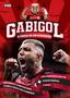 Imagem de Livro - Gabigol