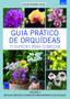 Imagem de Livro - Guia Prático de Orquídeas 3 - 15 Espécies Para Começar