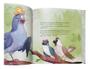 Imagem de Livro Kids Infantil O Encontro Dos Pássaros  Tatiane Joslin  Um Livro Cativante Sobre Amor E Natureza - Editora Vida