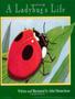 Imagem de Livro - Ladybugs life, a