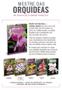Imagem de Livro - Mestre das Orquídeas - Volume 1: Cattleya labiata