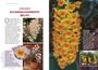 Imagem de Livro - Mestre das Orquídeas - Volume 20: Os diferentes e incríveis Dendrobium