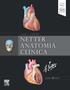 Imagem de Livro - Netter Anatomia Clínica