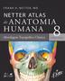 Imagem de Livro - Netter Atlas de Anatomia Humana – Abordagem Topográfica Clássica