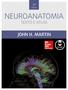 Imagem de Livro - Neuroanatomia