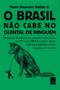 Imagem de Livro - O Brasil não cabe no quintal de ninguém