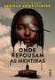 Imagem de Livro - Onde repousam as mentiras